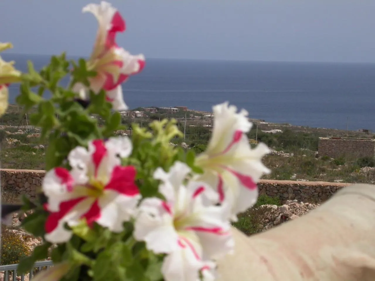 Hotel Macondo Lampedusa